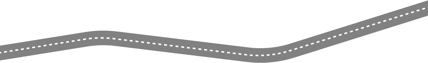 Roadmap